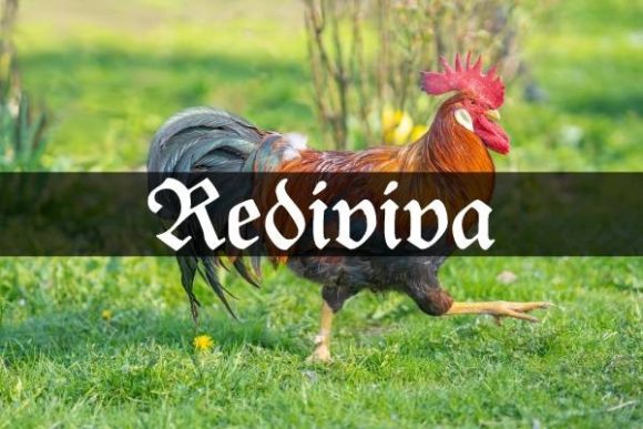 Rediviva: Elevate Your Craft with Sharp Blackletter Style