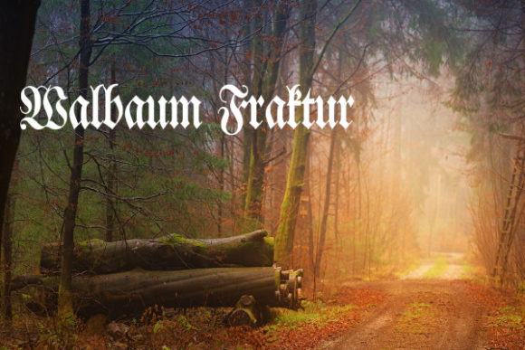 Walbaum Fraktur: A Royal Touch for Modern Branding